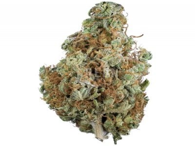 Buy Silver Haze Strain Online